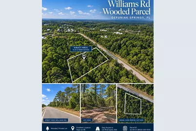 Lots 1-4 N Williams Road, Defuniak Springs, FL 32433 - Photo 1