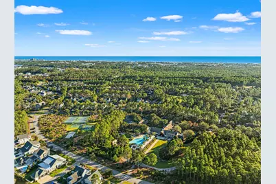 401 Anastasia Circle, Inlet Beach, FL 32461 - Photo 57