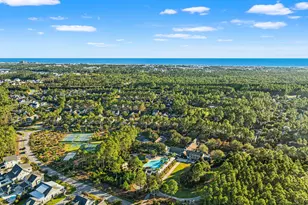 401 Anastasia Cir, Inlet Beach, FL 32461 - Photo 57