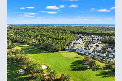 401 Anastasia Circle, Inlet Beach, FL 32461 - Photo 55