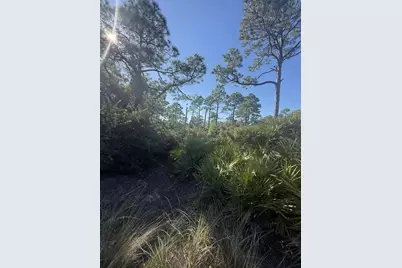 393 Cord Grass Way, Cape San Blas, FL 32456 - Photo 3