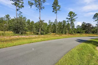 Lot 17 Reserve At Hammock Bay, Freeport, FL 32439 - Photo 9