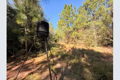 5040 Griffith Mill Road, Holt, FL 32564 - Photo 29