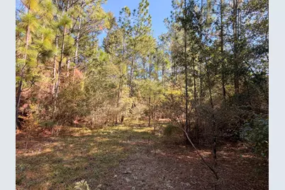 5040 Griffith Mill Road, Holt, FL 32564 - Photo 23