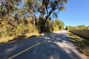 Parcel C Griffith Mill Rd, Holt, FL 32564 - Photo 1