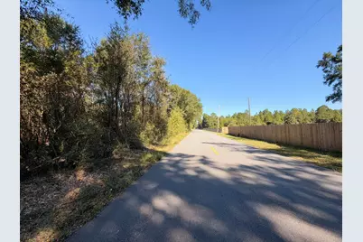 B & C Griffith Mill Road, Holt, FL 32564 - Photo 11