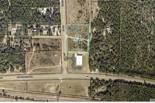 0 Hwy 393 Hwy, Crestview, FL 32539 - Photo 1