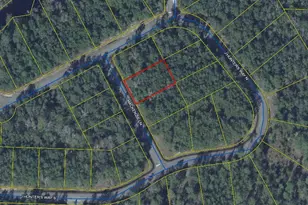 Lot 31 N Mackenzie Ln, Freeport, FL 32439 - Photo 1