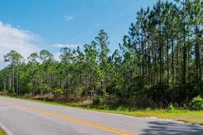 Tbd N County Hwy 393 #Lot 50, Santa Rosa Beach, FL 32459 - Photo 11
