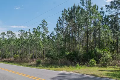 Tbd N County Hwy 393 #Lot 50, Santa Rosa Beach, FL 32459 - Photo 9