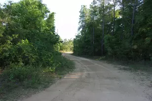 Xx Grebe Way, Crestview, FL 32539 - Photo 1