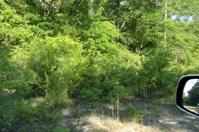 Xx E Bunting Way, Crestview, FL 32539 - Photo 3