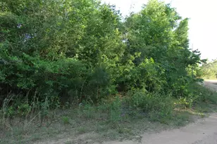 Xx E Bunting Way, Crestview, FL 32539 - Photo 1