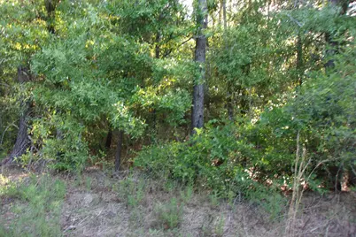 Xx E Bunting Way, Crestview, FL 32539 - Photo 7