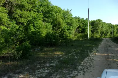 Xx E Bunting Way, Crestview, FL 32539 - Photo 5