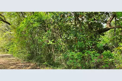 Lot 11 Live Oak Street, Niceville, FL 32578 - Photo 13