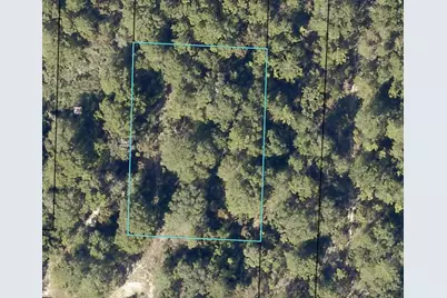 0.56 Christopher Lane, Crestview, FL 32539 - Photo 3