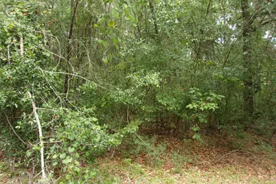 5001 Al Gillman Road Road, Baker, FL 32531 - Photo 5