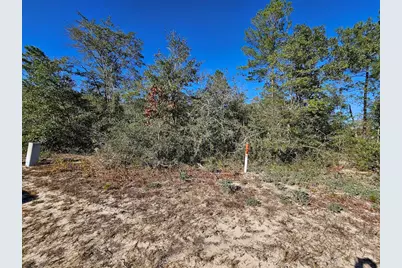 Xx 90, Defuniak Springs, FL 32433 - Photo 3