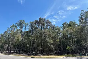321 Gazelle Ct, Niceville, FL 32578 - Photo 1