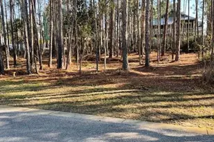 Lot 1-16 Mallard Lane, Santa Rosa Beach, FL 32459 - Photo 11