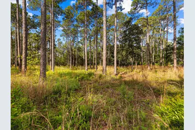 7535 Morning Marsh Trail, Panama City Beach, FL 32413 - Photo 19