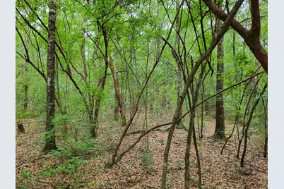 6.8 Acres E Redstone Ave, Crestview, FL 32536 - Photo 7