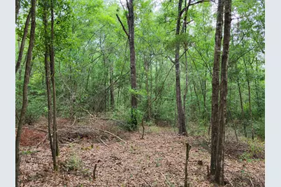 6.8 Acres E Redstone Ave, Crestview, FL 32536 - Photo 11