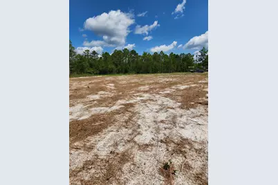302 Frank McKamey Way, Carrabelle, FL 32322 - Photo 3