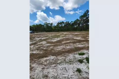 302 Frank McKamey Way, Carrabelle, FL 32322 - Photo 9