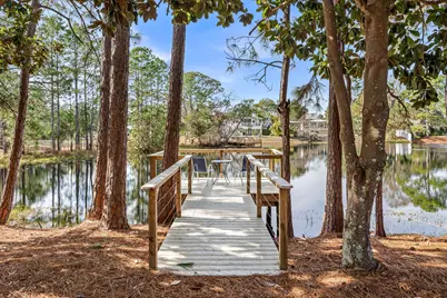 164 Lakeview Beach Drive, Miramar Beach, FL 32550 - Photo 41