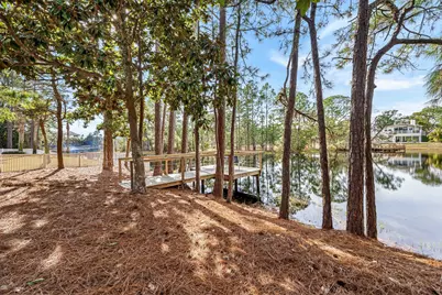 164 Lakeview Beach Drive, Miramar Beach, FL 32550 - Photo 67