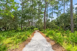 Tbd S Co Hwy 393, Santa Rosa Beach, FL 32459 - Photo 35
