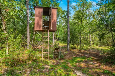 5263 Coy Burgess Loop, Defuniak Springs, FL 32435 - Photo 91