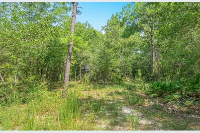 5263 Coy Burgess Loop, Defuniak Springs, FL 32435 - Photo 93