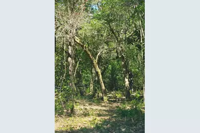 Lots 1 & 2 Gum Street, Freeport, FL 32439 - Photo 1