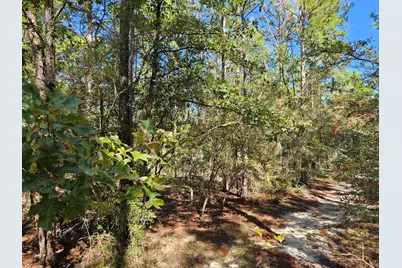 .69 Acre E Dogwood East Avenue, Defuniak Springs, FL 32433 - Photo 5