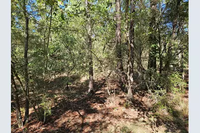 .69 Acre E Dogwood East Avenue, Defuniak Springs, FL 32433 - Photo 3