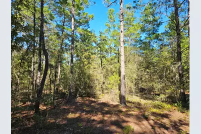 .69 Acre E Dogwood East Avenue, Defuniak Springs, FL 32433 - Photo 9