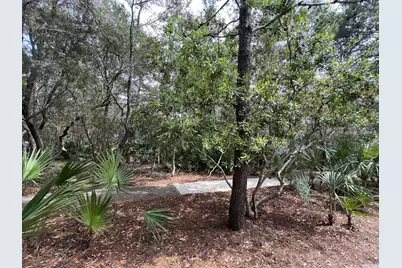 Lot 8 Wilderness Way, Santa Rosa Beach, FL 32459 - Photo 7