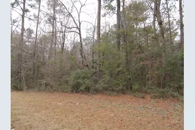 10 Acres Co Highway 183, Ponce de Leon, FL 32455 - Photo 5
