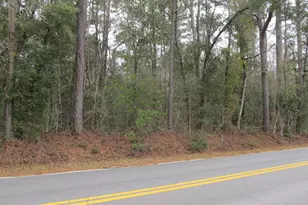 10 Acres Co Hwy 183, Ponce de Leon, FL 32455 - Photo 1
