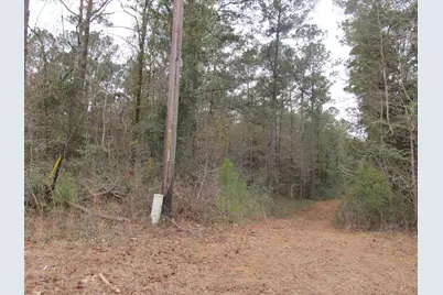 10 Acres Co Highway 183, Ponce de Leon, FL 32455 - Photo 3