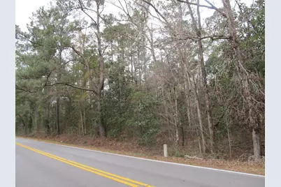 10 Acres Co Highway 183, Ponce de Leon, FL 32455 - Photo 7