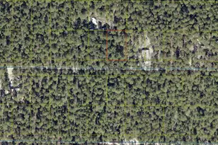 Lot 43 W Black Cherry Dr, Defuniak Springs, FL 32433 - Photo 1
