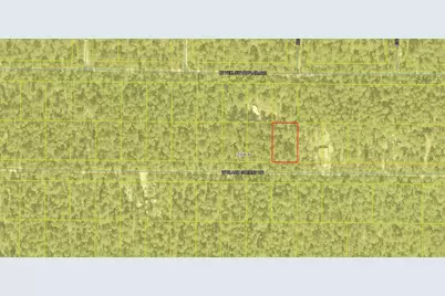 Lot 43 W Black Cherry Drive, Defuniak Springs, FL 32433 - Photo 5