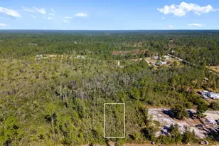 11709 Poinsettia St, Fountain, FL 32438 - Photo 1