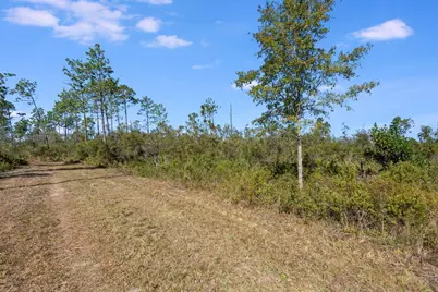 11709 Poinsettia Street, Fountain, FL 32438 - Photo 7
