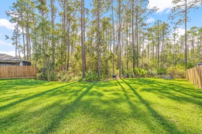 124 Conner Circle, Santa Rosa Beach, FL 32459 - Photo 35