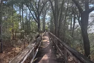 Lot 77 Harbour Trace, Freeport, FL 32439 - Photo 5